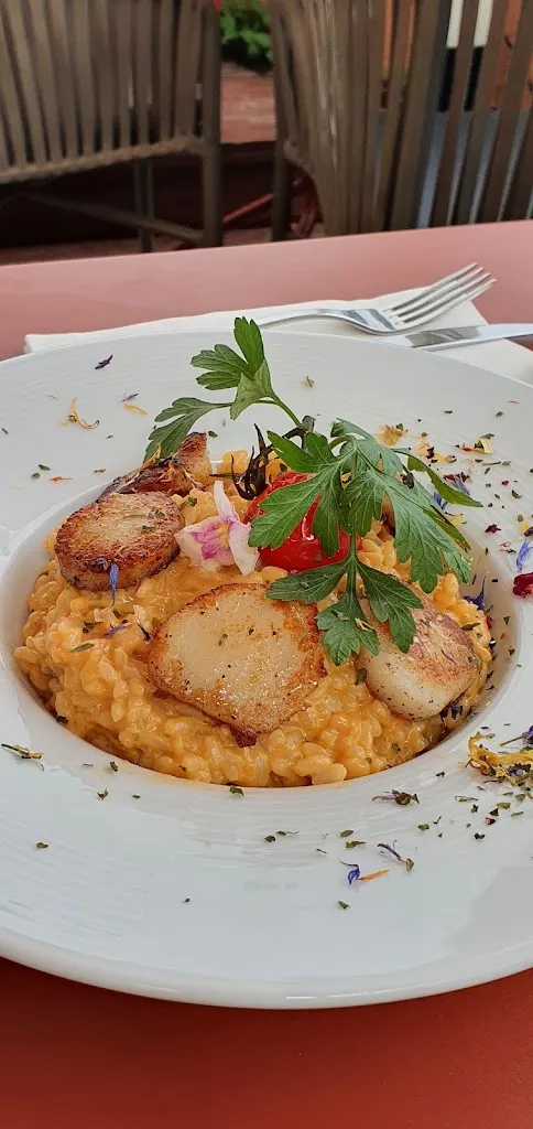 Menu_Le Petit Vincent_Bastia_image_6