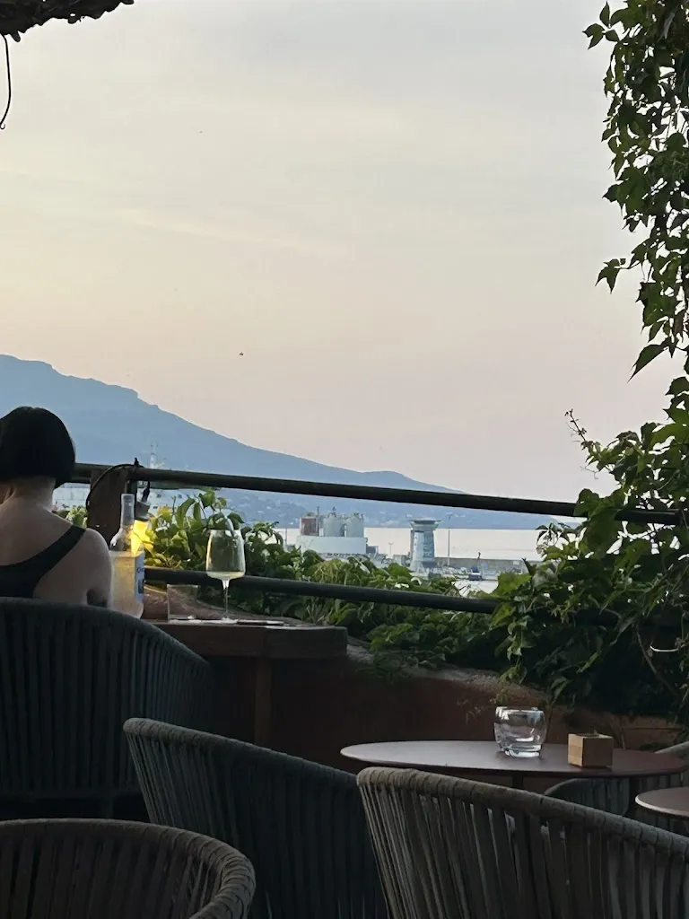 Sascha Twisk_Le Petit Vincent_Bastia_review