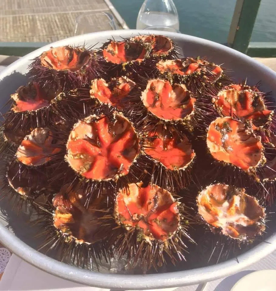 Menü_RESTAURANT CHEZ HUGUETTE_Bastia_Bild_2