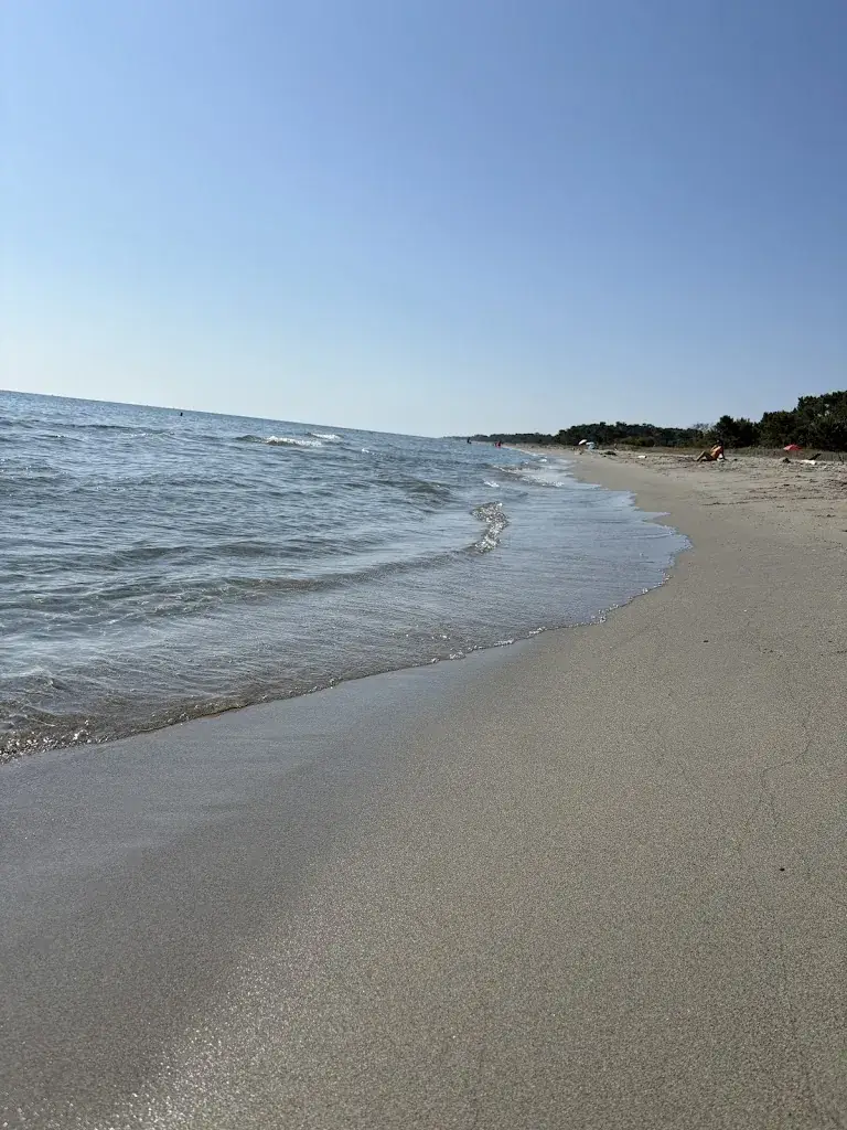 Matjaz Ravnjak_LA PAGODE_Biguglia_review