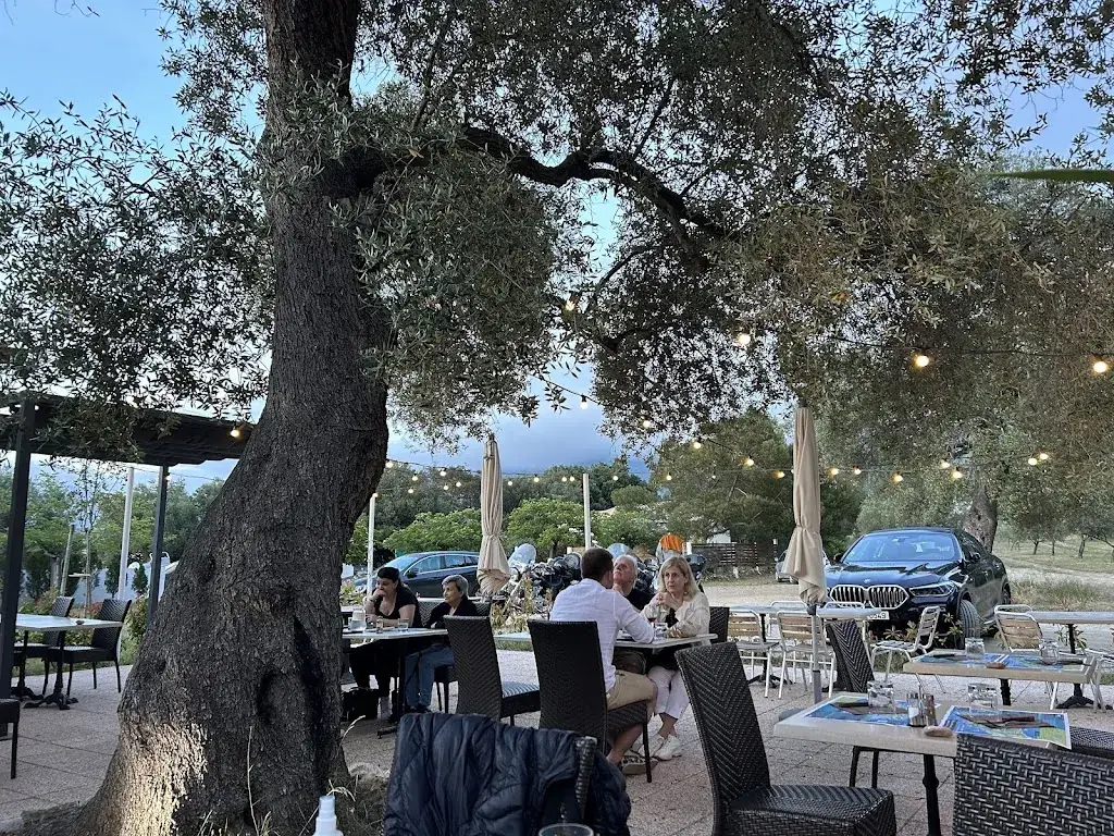 Jackie Reardon_La Cigale_Oletta_review