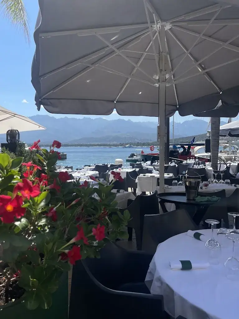 Ile de Beauté Café_Calvi_slider_image_2