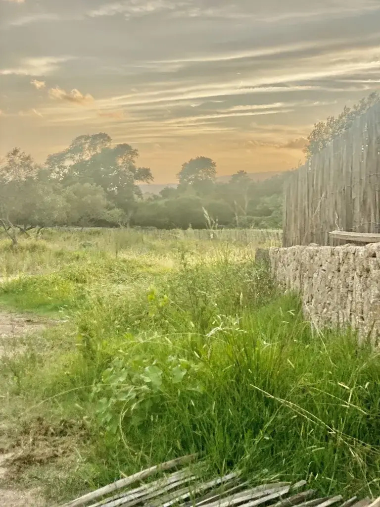 Triin de Speville_Domaine Pozzo di Mastri_Figari_review