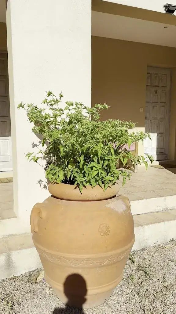 Hôtel Restaurant Macchie e Fiori_Pianottoli-Caldarello_slider_image_1