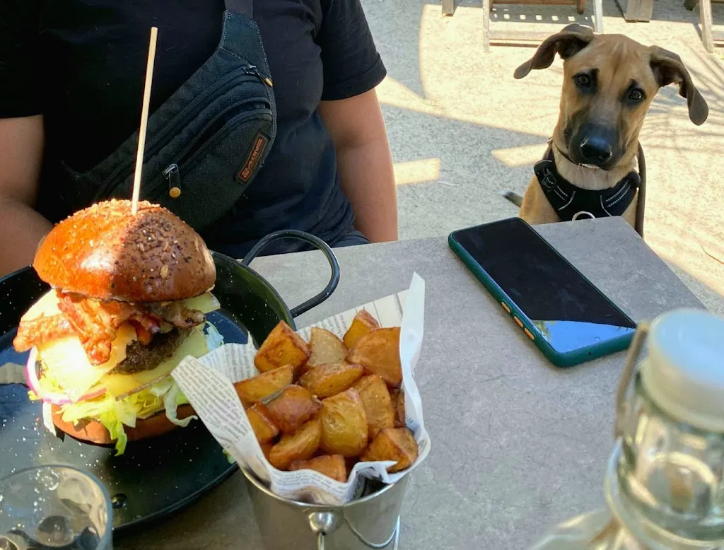 Flavia Thurnheer_La Terrasse du Port_Lumio_review