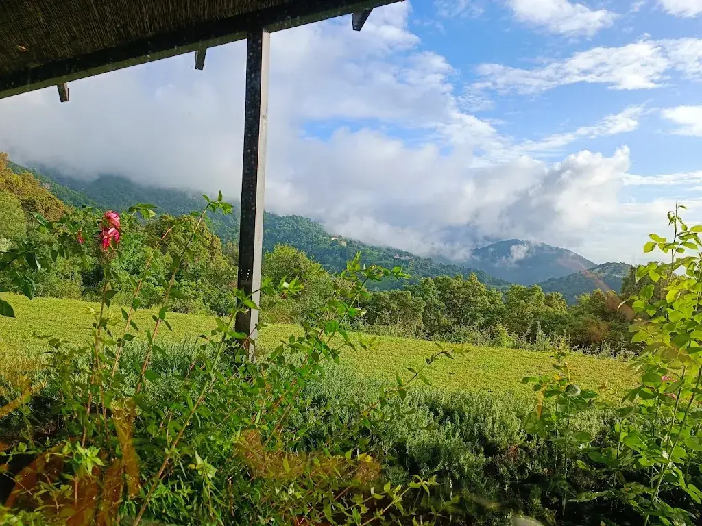 Loli Loli_A Saliva_Peri_reseña