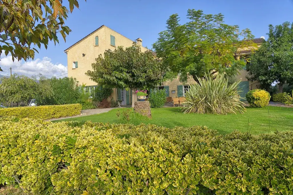 AUBERGE LES OLIVIERS restaurant à Lucciana