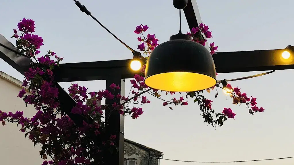 stelian grigore_La Gazelle_Ghisonaccia_review