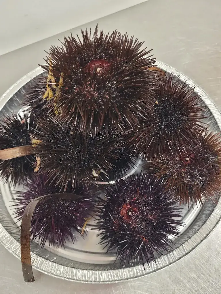 Le p'tit dernier_Saint-Florent_slider_image_3