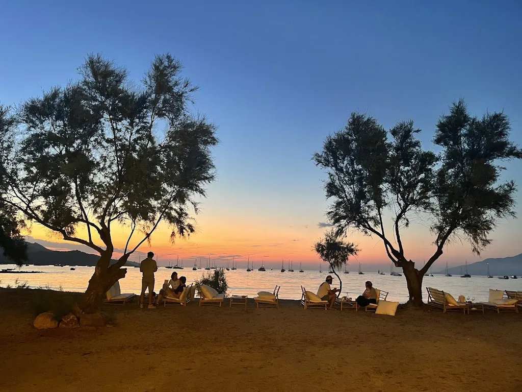 David Coun_Cala Roya_Saint-Florent_review