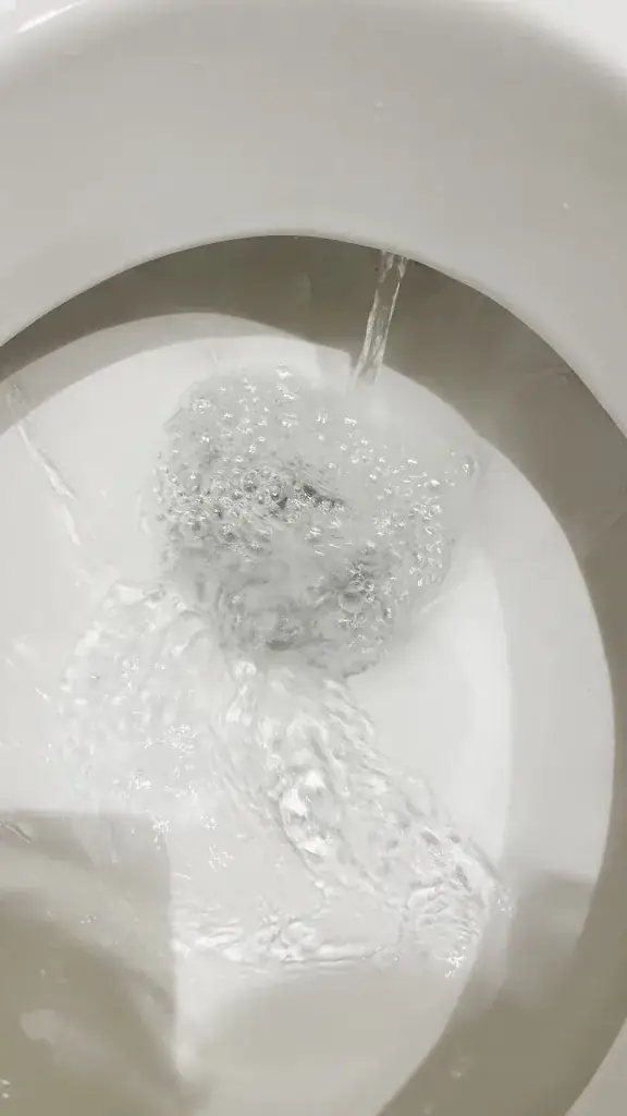 michelle grayshon_Château des Comtes de Challes_Challes-les-Eaux_review