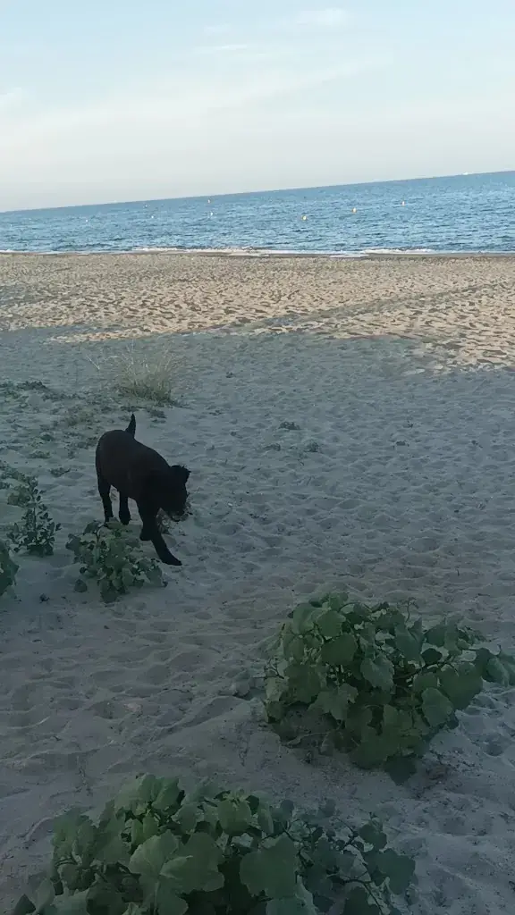 cheurun1_Restaurant San Pe_Penta-di-Casinca_review