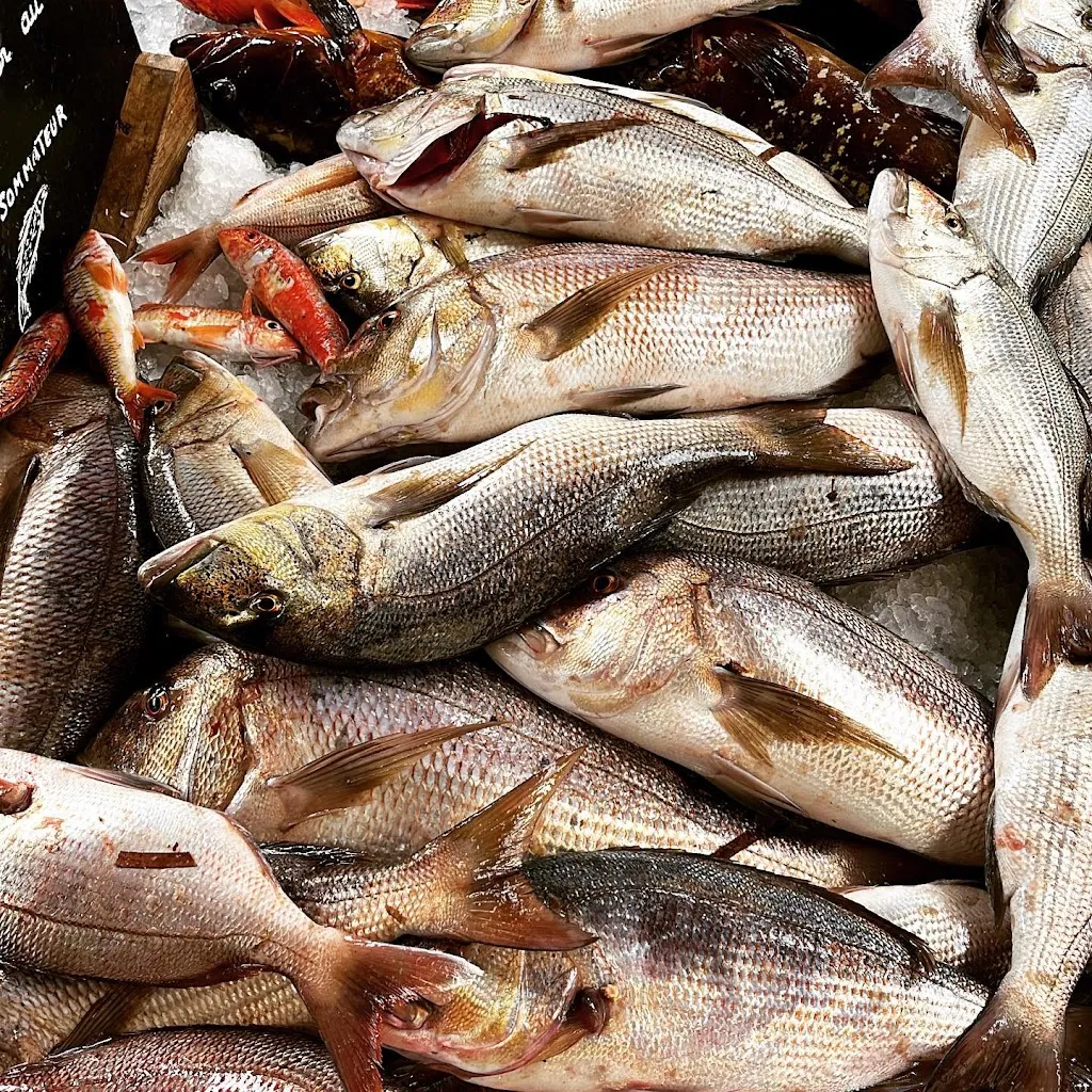 Restaurant l'Escale_L'Île-Rousse_slider_image_3