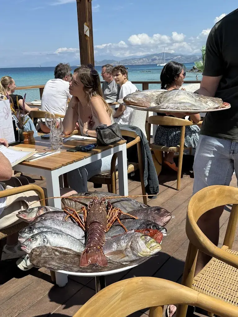 Maya Bassil_A Siesta_L'Île-Rousse_review