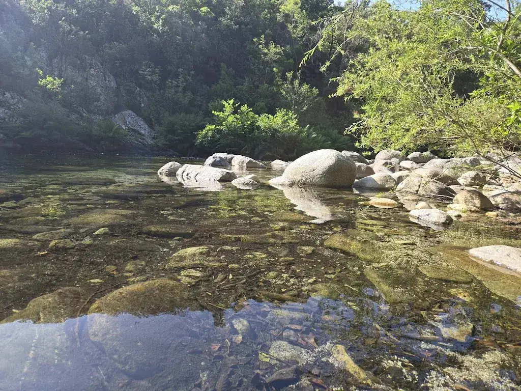 Sebastien Lagneaux_Chez Eugene_Ventiseri_review