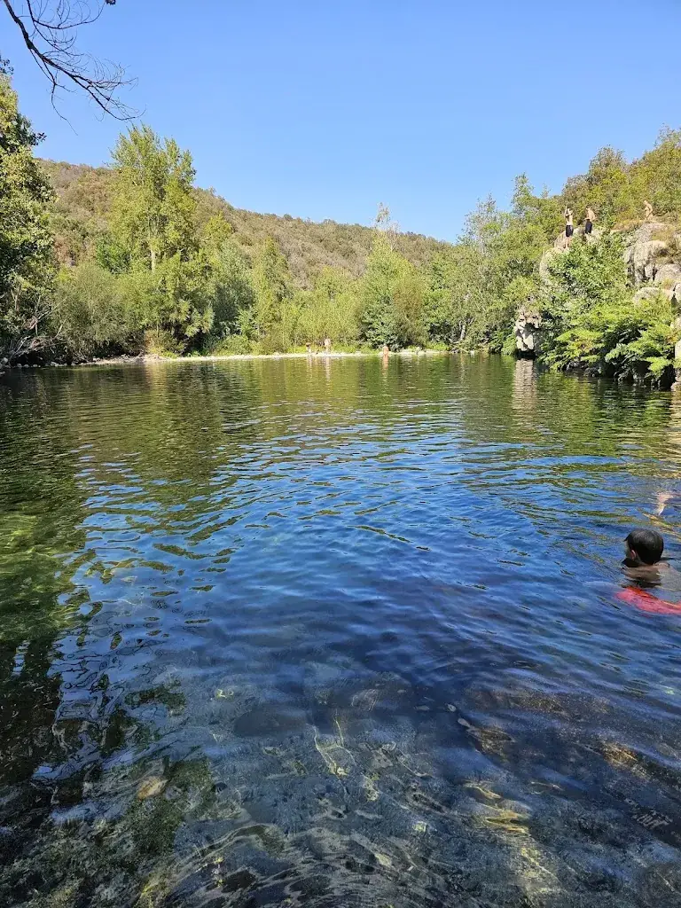 Regine Riedler_Chez Eugene_Ventiseri_review