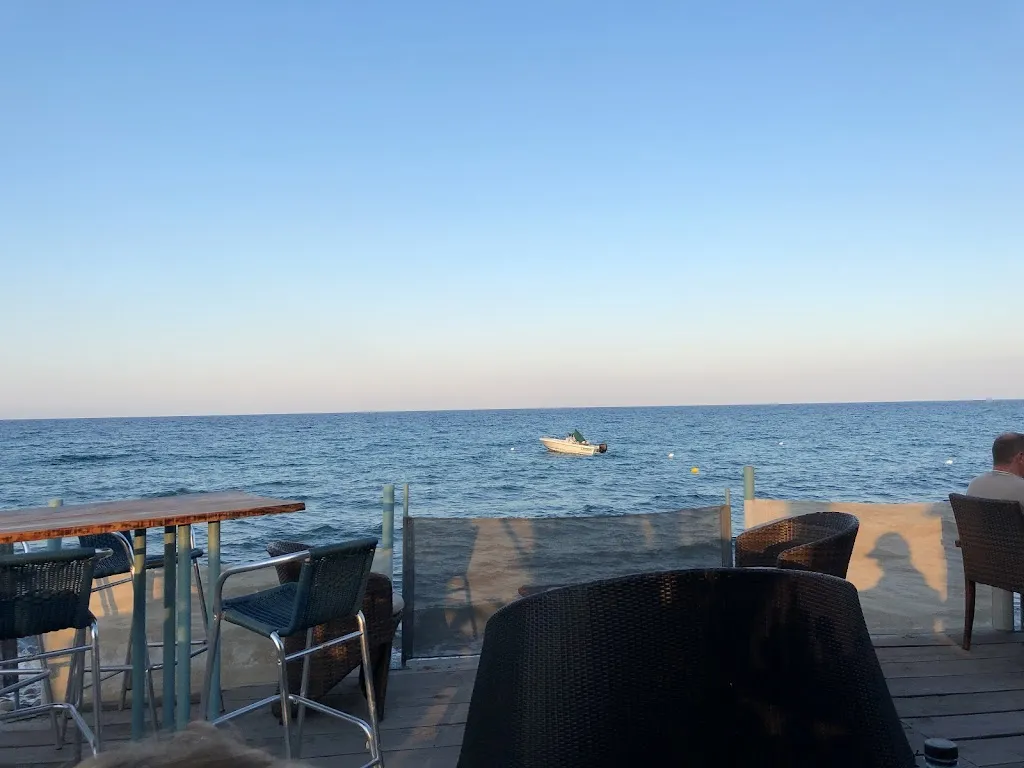 Andy Kurth_LE CROCODILE_Solaro_Bewertung