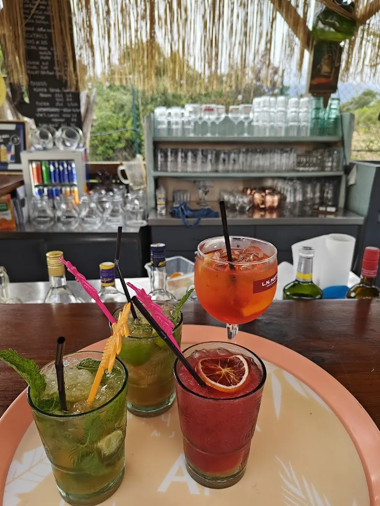 LE CROCODILE_Solaro_slider_image_2