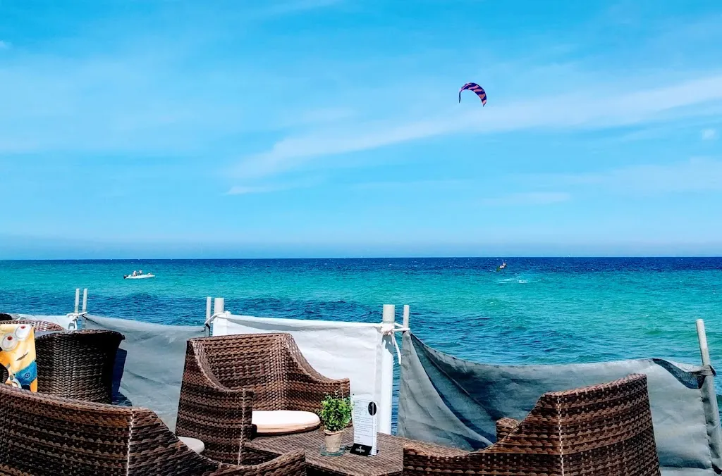 LE CROCODILE_Solaro_slider_image_3