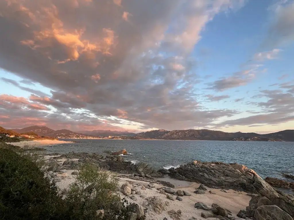 Tregiffian Collins_Una Stonda_Olmeto_review