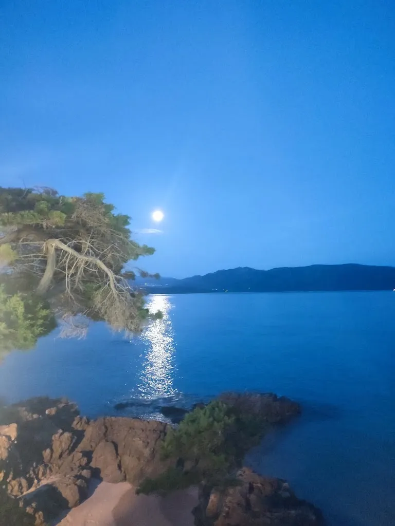 Ilse Delbaen_U Farniente_Olmeto_review