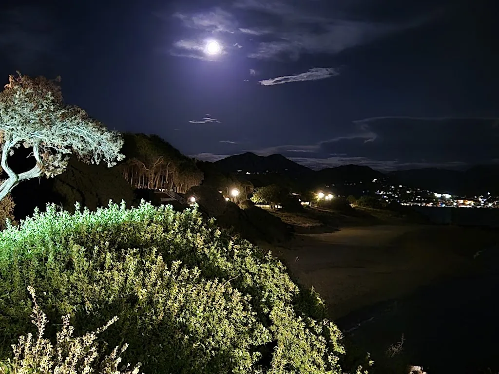 claudiu coldea_U Farniente_Olmeto_review