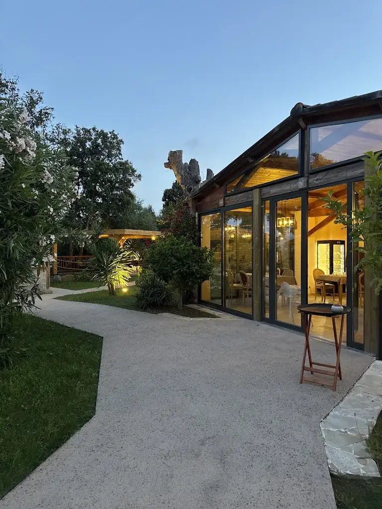 Razvan Vasilas_L'Opus_Olmeto_Bewertung