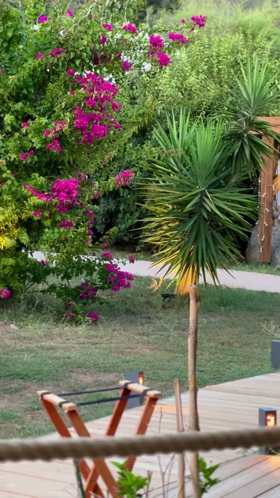 L'Opus_Olmeto_slider_image_2