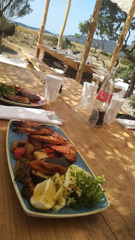 RB Human_L'infini_Olmeto_review