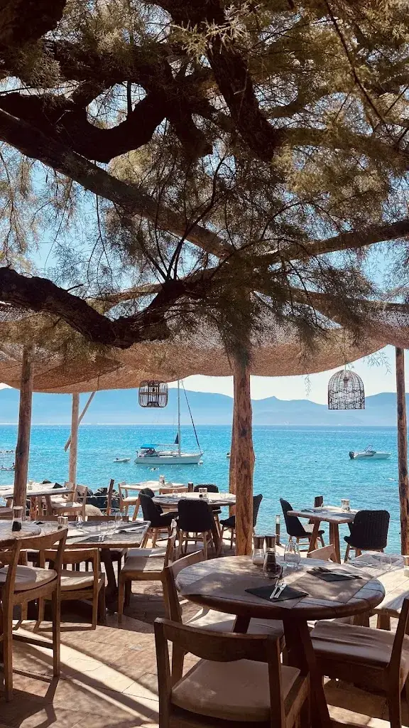 Paula Galaz_Restaurant Bar Abbartello_Olmeto_review