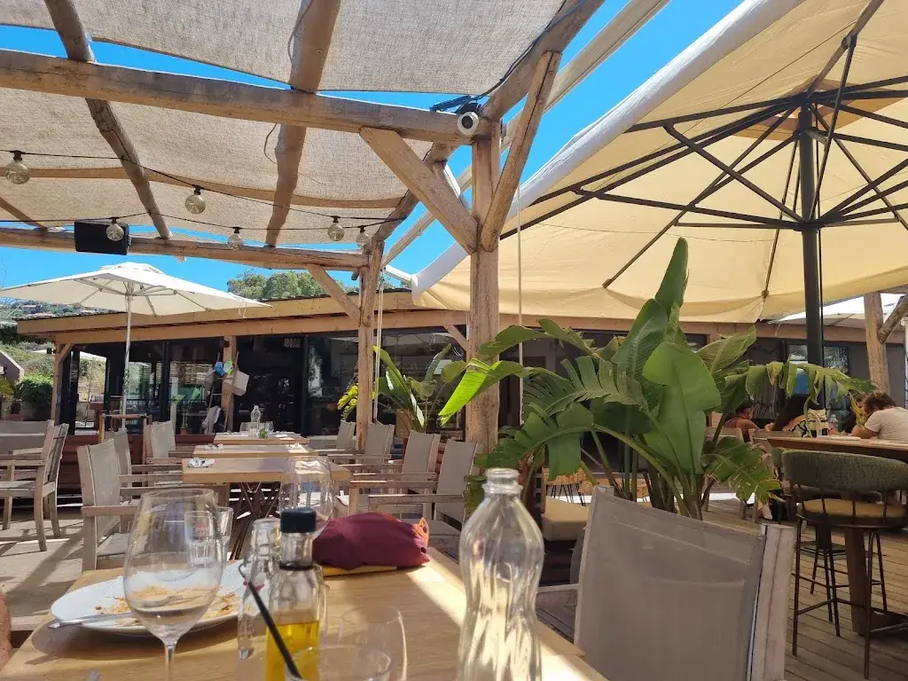 Julia Leenhouts_L'Oasis_Propriano_review