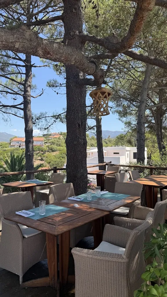 Agnès Vuitton_A'mare RoofTop Restaurant and Cocktail Bar_Propriano_review