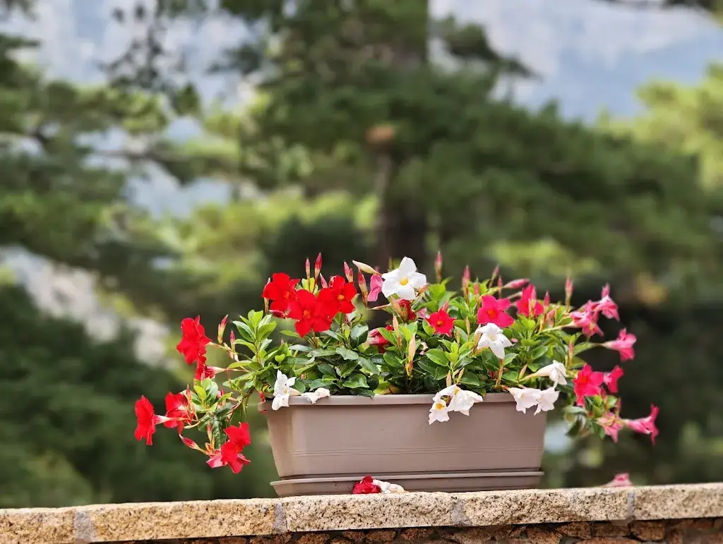 Marian H._Le Refuge_Quenza_review