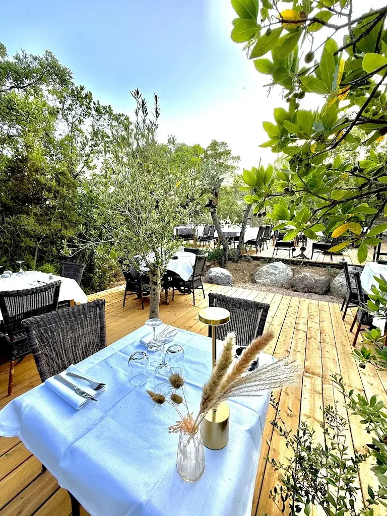 CASA SALBA_Zonza_slider_image_1