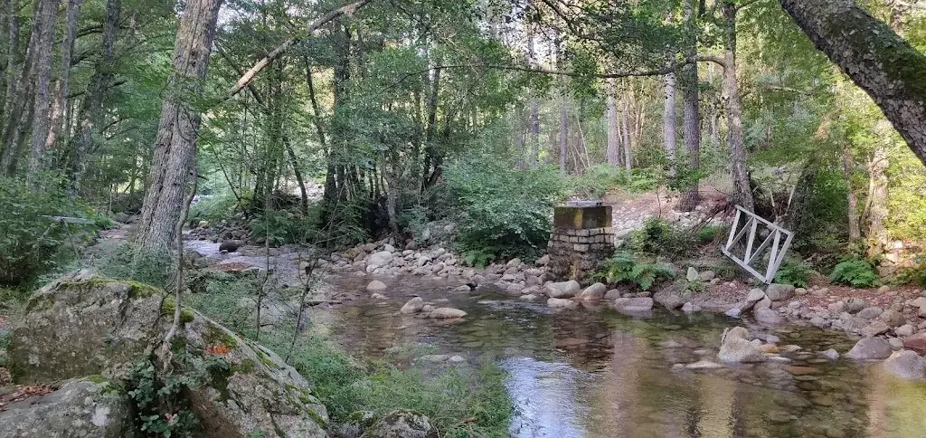 Nicolas_U Fuconu_Zonza_review