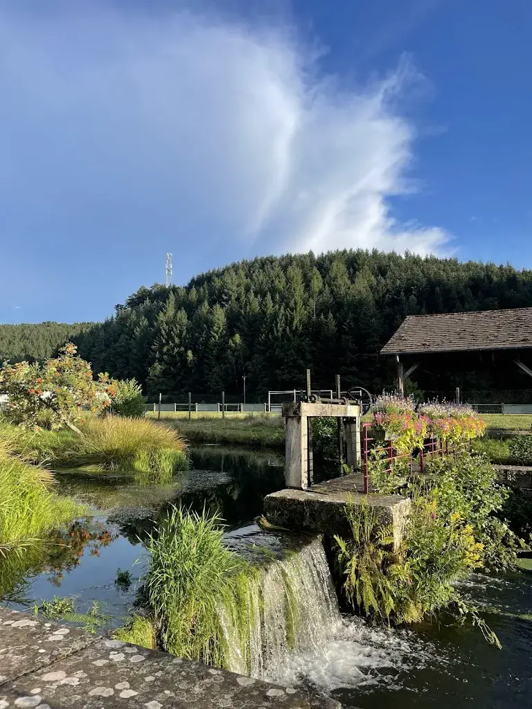Claire Harion_Relais du Moulin - Café Restaurant Épicerie / Domaine de la Sarre_Abreschviller_review