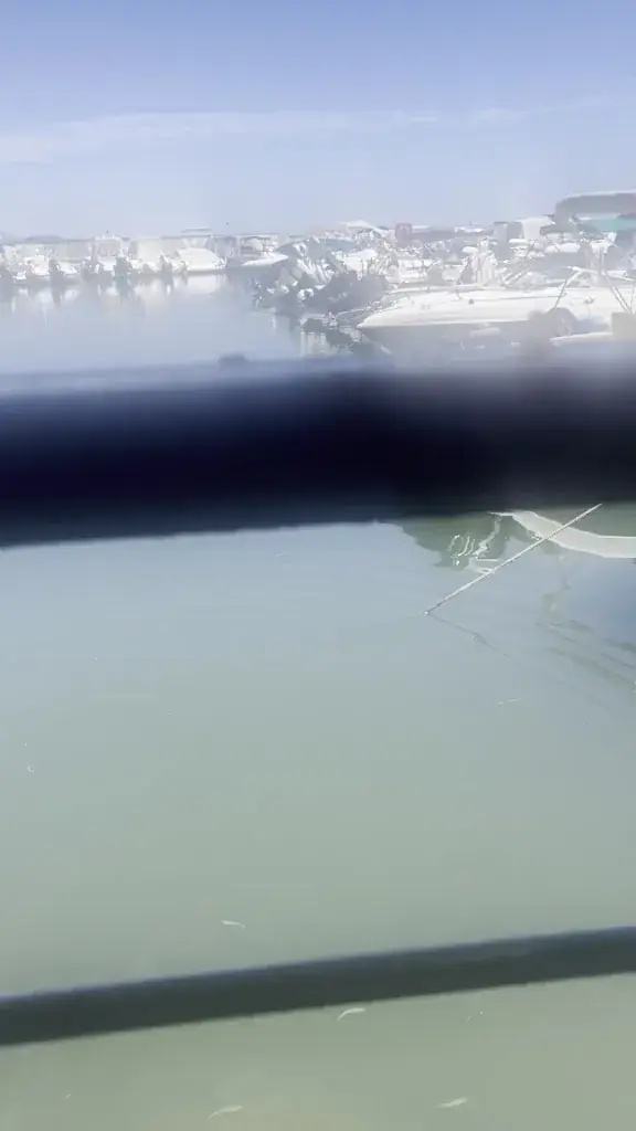 Lee Webster_A Marina restaurant glacier_20145_avis