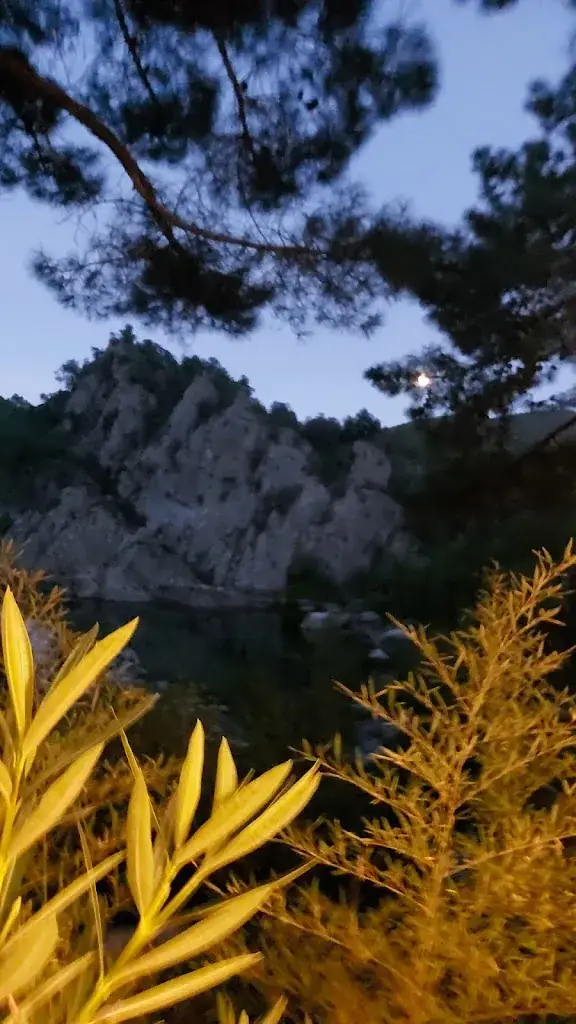 Die Reisejunkies_Restaurant U Rosumarinu_Sari-Solenzara_review