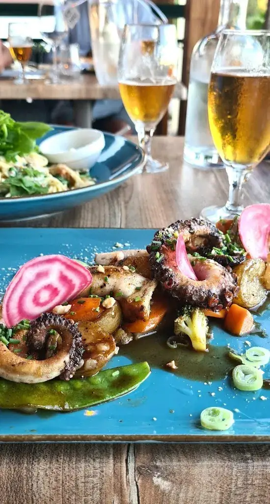 Iveta JoH_Le Grand Bleu_Sari-Solenzara_review