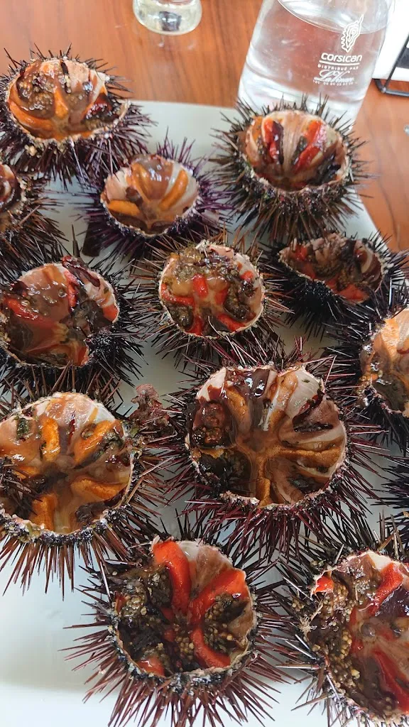 Menu_Le 7eme art_Sari-Solenzara_image_3