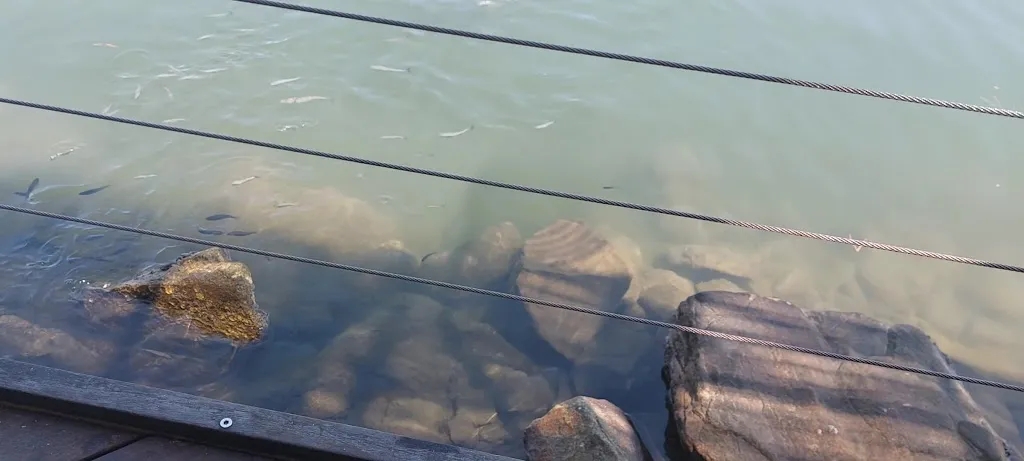 Glacier du Port_Solenzara_slider_image_2