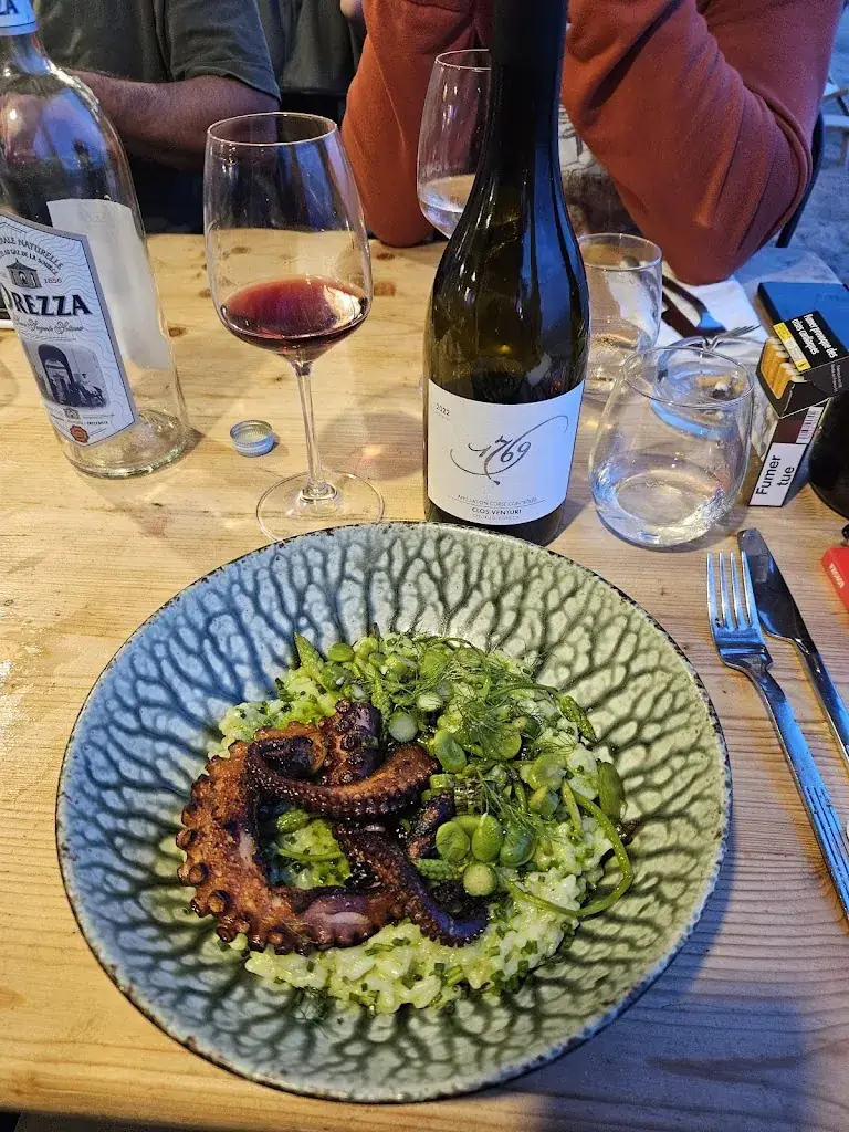 Petr Tichý_Palauma Les Villas_Solaro_review