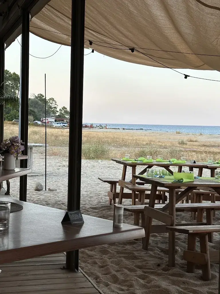 Robert Metzke_La Paillote_Solaro_review