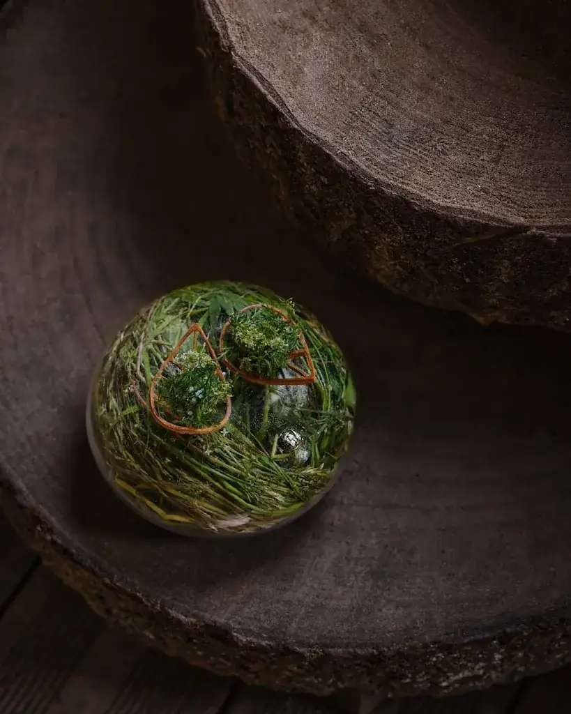 Menu_L'Alchémille_Vignoble_image_6