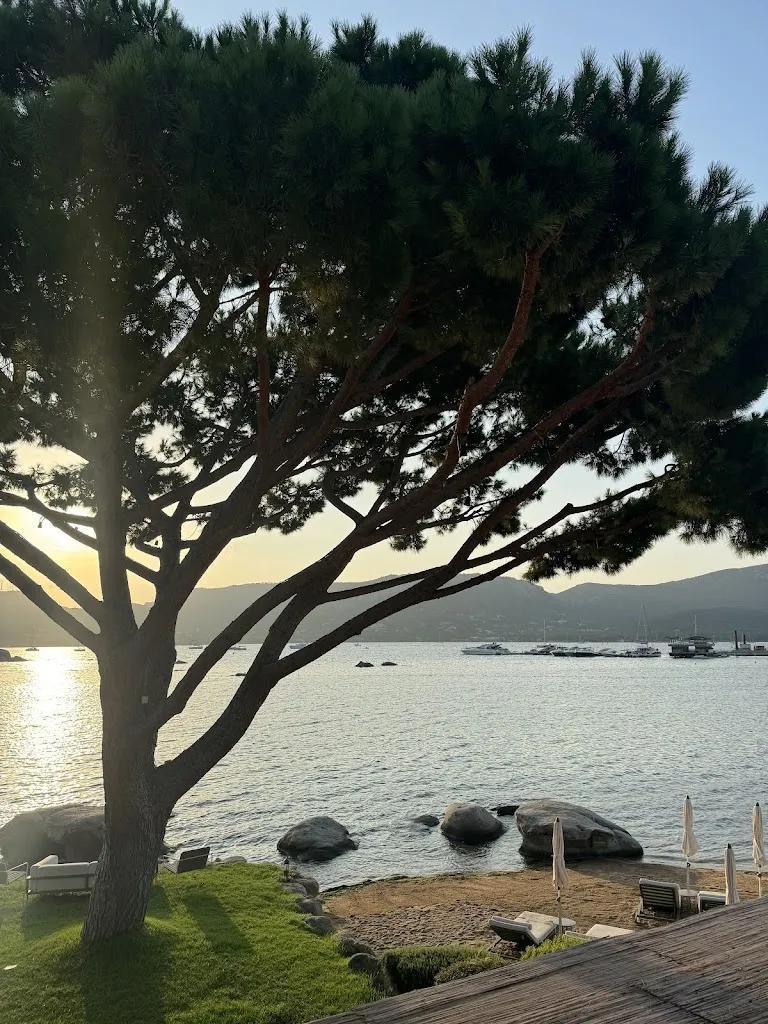 J Hay_Roc Seven Porto-Vecchio_Porto-Vecchio_review