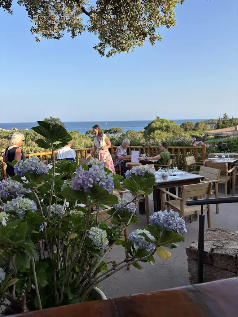 Cynthia Peterson_Costa Marina_Porto-Vecchio_review