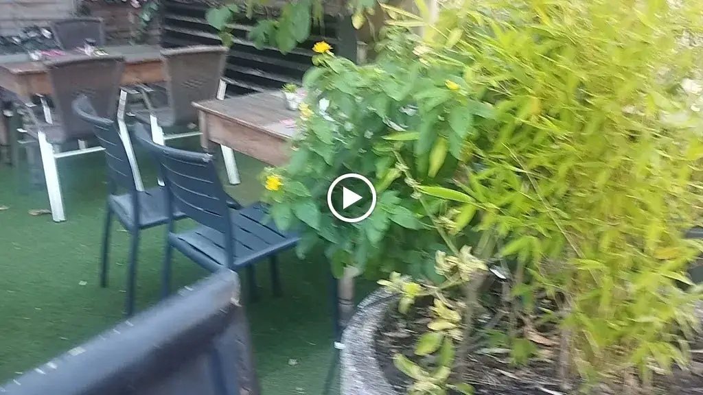 Les Platanes_Porto-Vecchio_slider_image_2