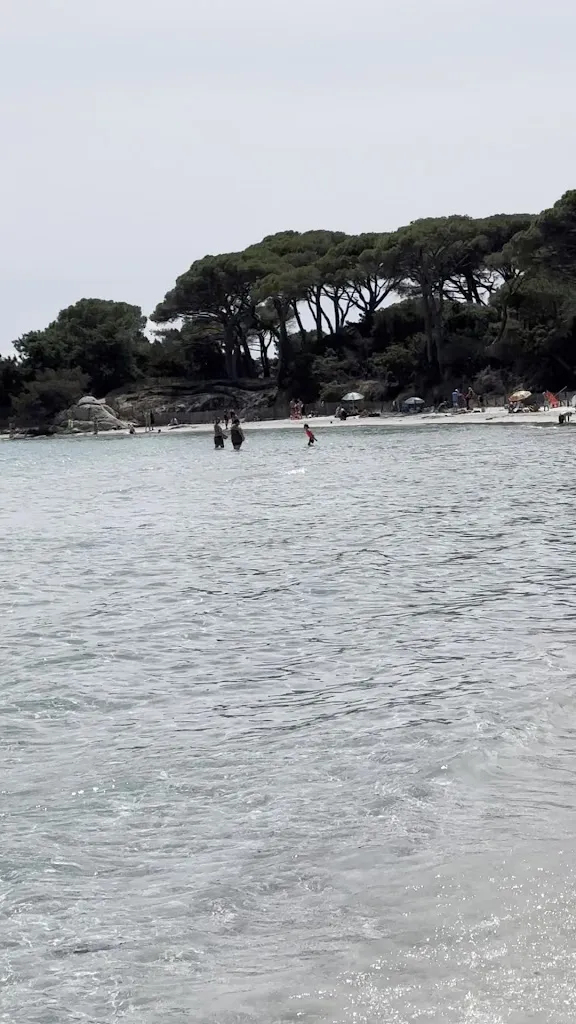 Glen Beer_Palm Beach Palombaggia_Porto-Vecchio_review