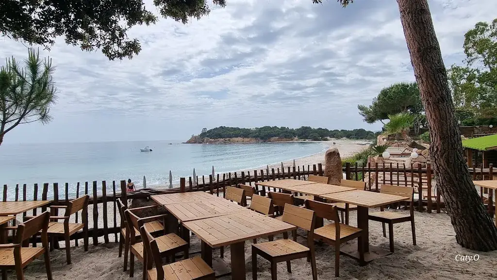 Le Petit Chose Palombaggia Restaurant in Porto-Vecchio