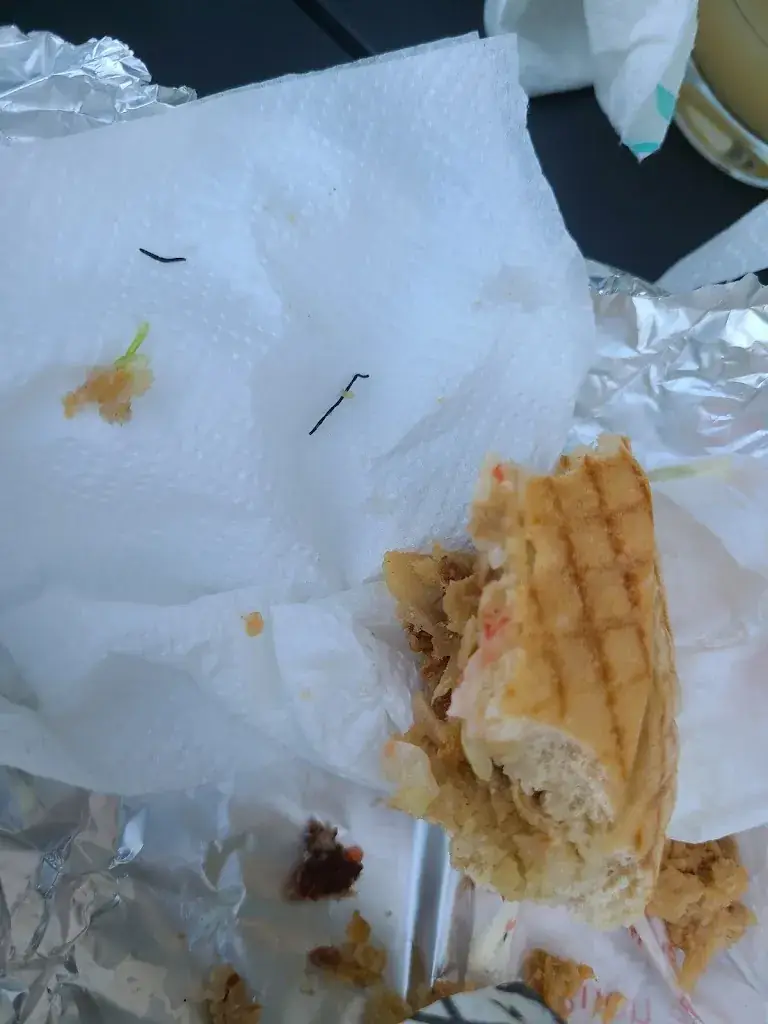 christophe Leone_Snack Antalya_Algrange_review